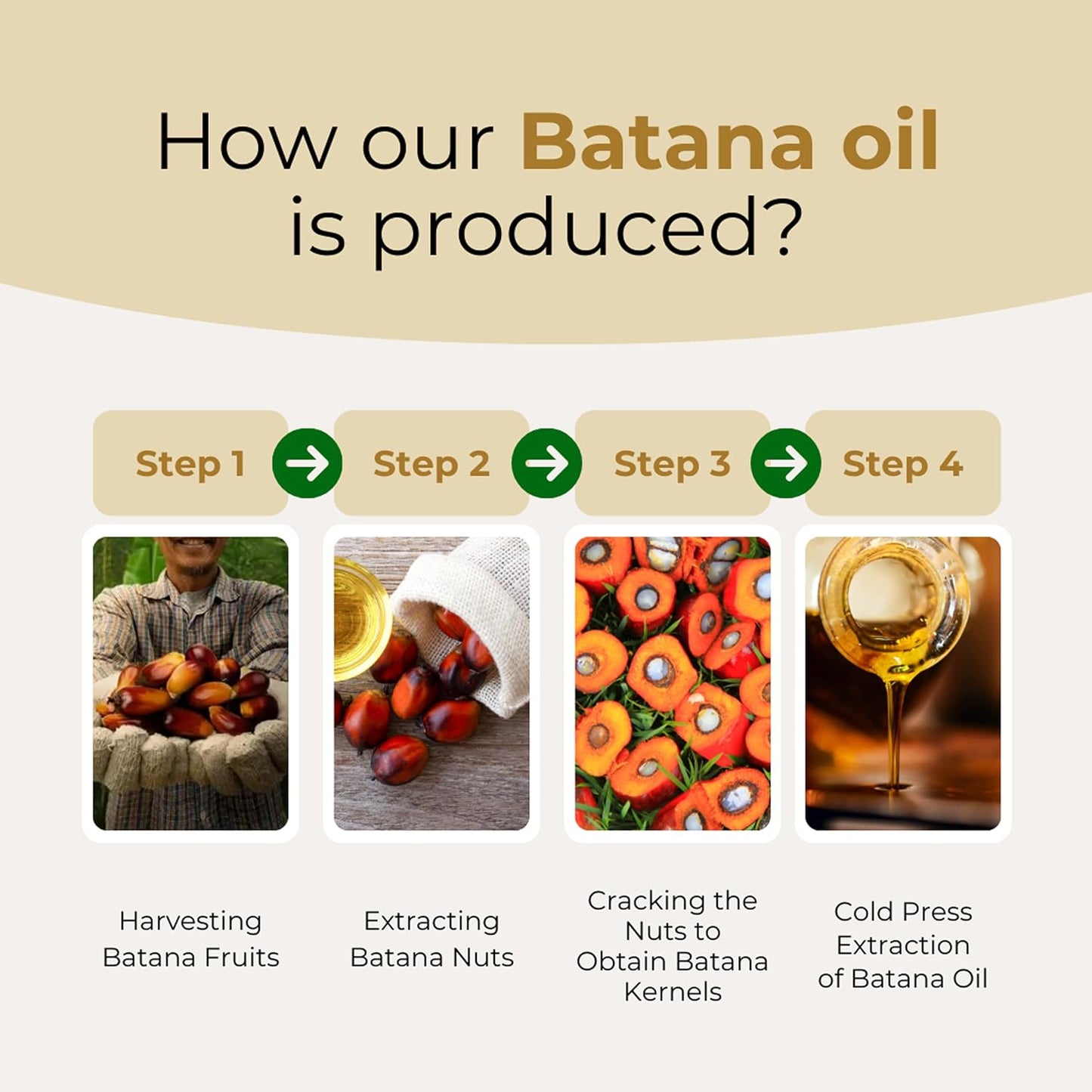 Raw Batana Oil for Hair Growth - 100% Pure, Organic 4oz Batana from Honduras for Thick and Strong Natural Hair - Dr. Sebi Unrefined Cold Pressed Cosmetic Scalp Mask for Men & Women (1 Pack)