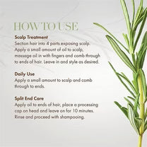 Mielle Rosemary Mint Scalp & Hair Strengthening Oil 59 - Ml